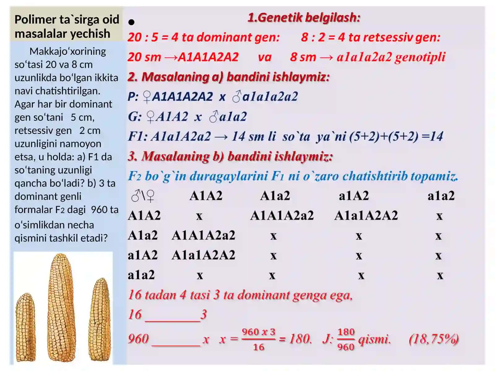 MAKTAB BIOLOGIYA FANI O`QITUVCHISI 3