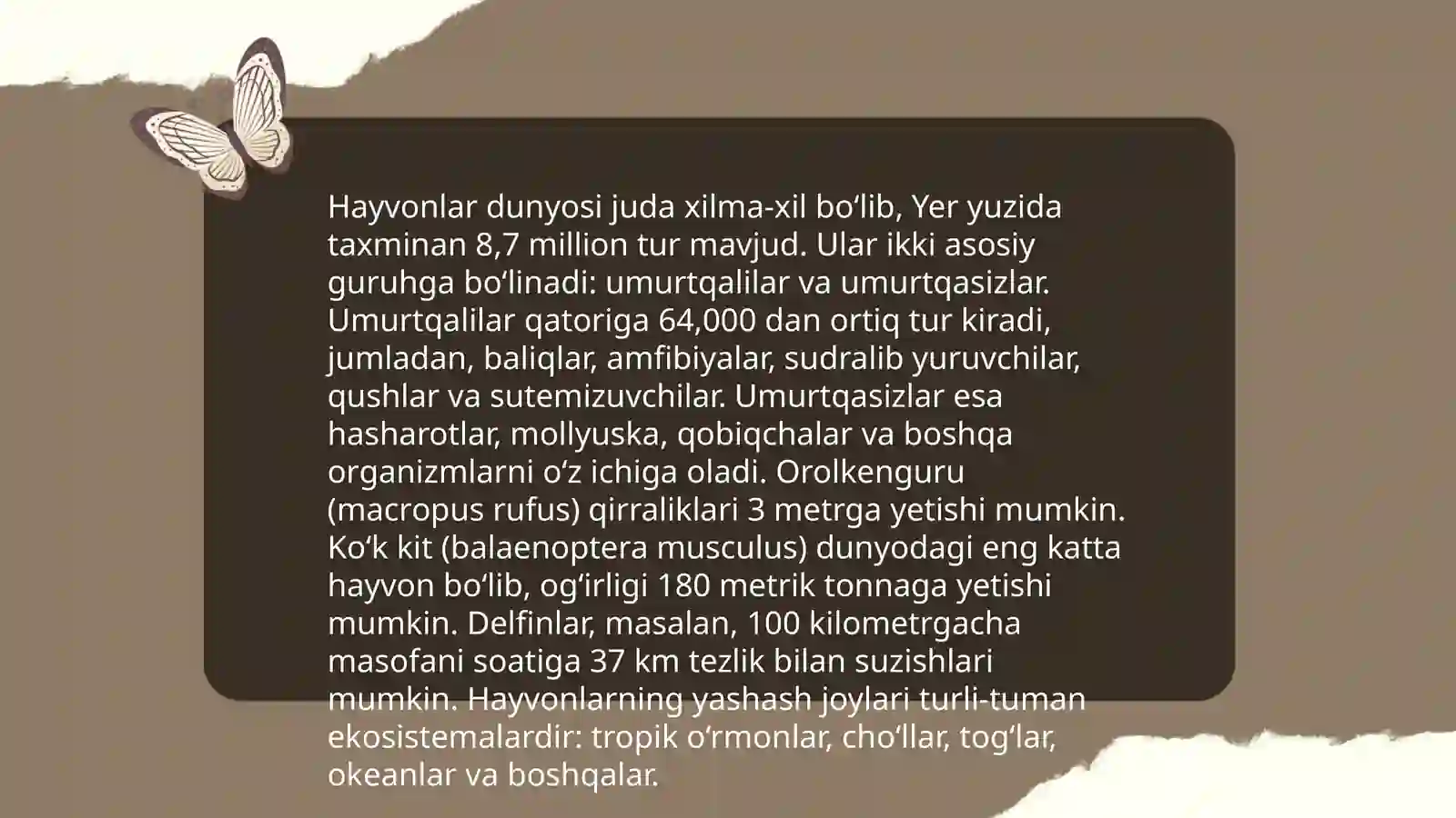 Devoni lug'atit-turk 3