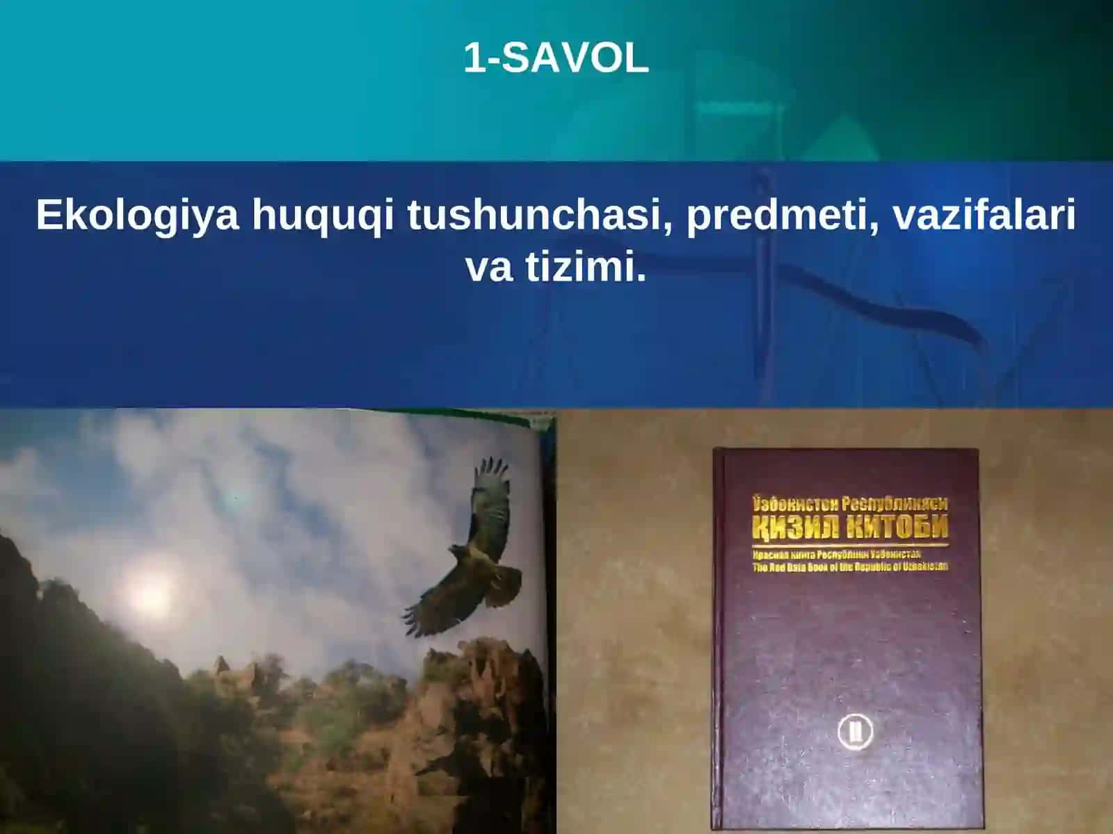 Ekologiya Huquqi 3