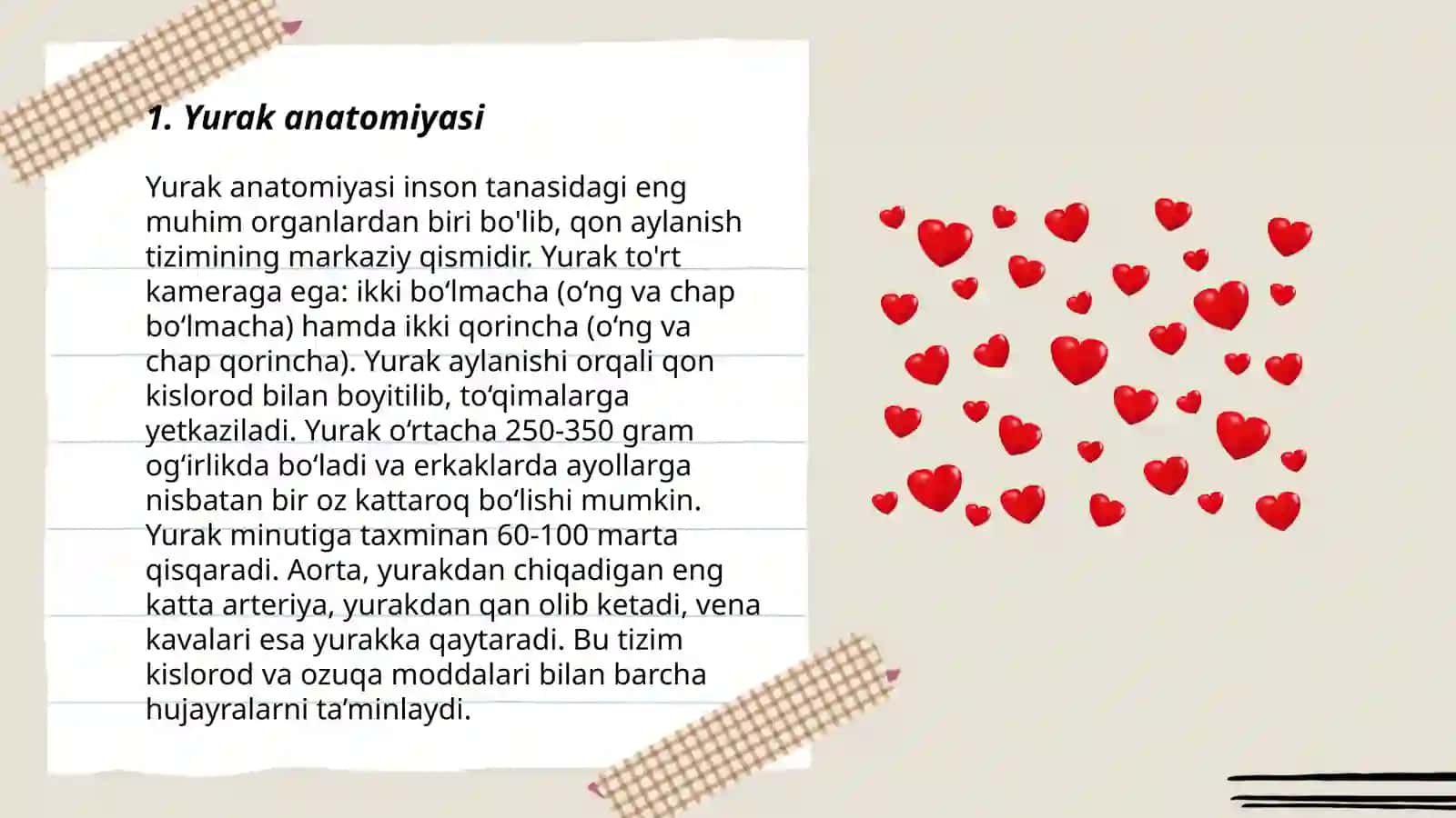 Yurak anatomiyasi 3