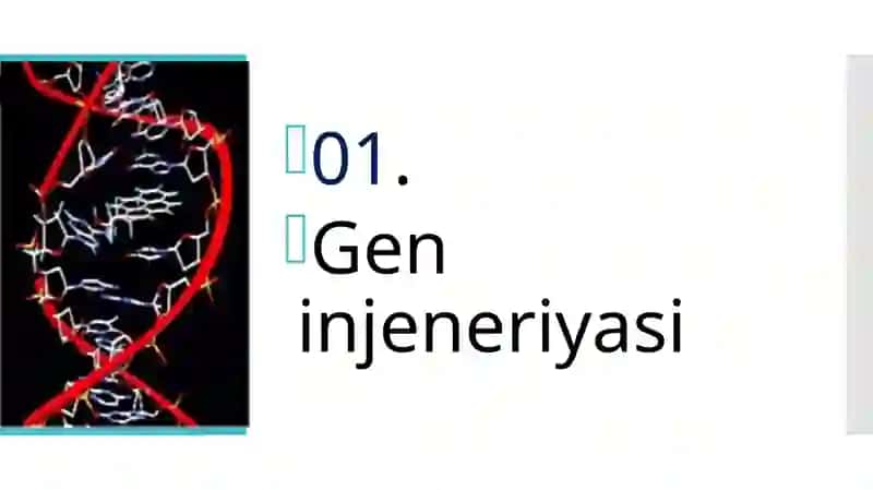GEN INJENERIYASI VA UNING MEDITSINA AMALIYOTIDA QO‘LLANILISHI 3