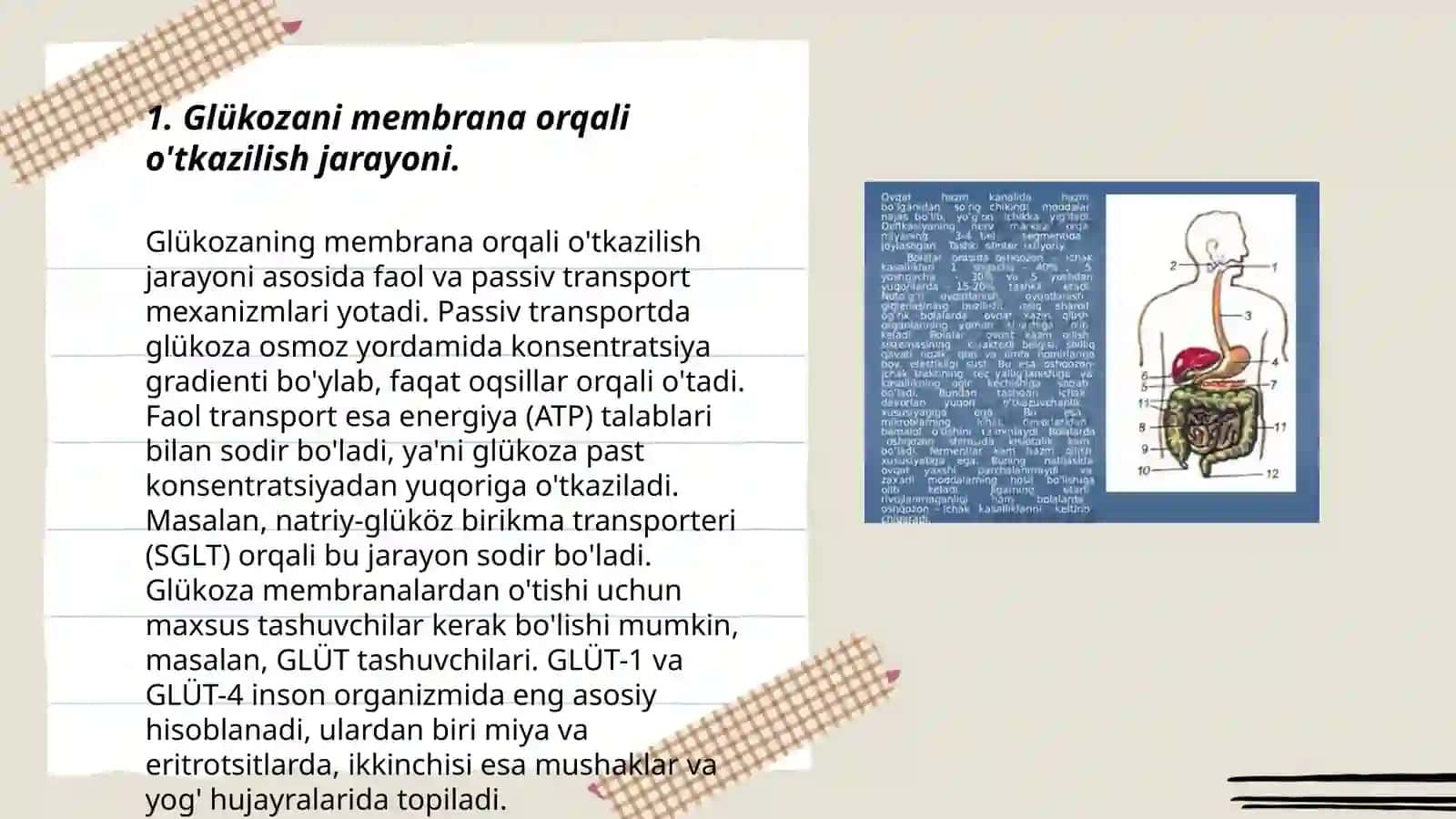 Glyukozani membrana orqali òtkazilishi. Glyukozani tashuvchilarning tuzilishi, spesifligi, klinik ahamiyati 3