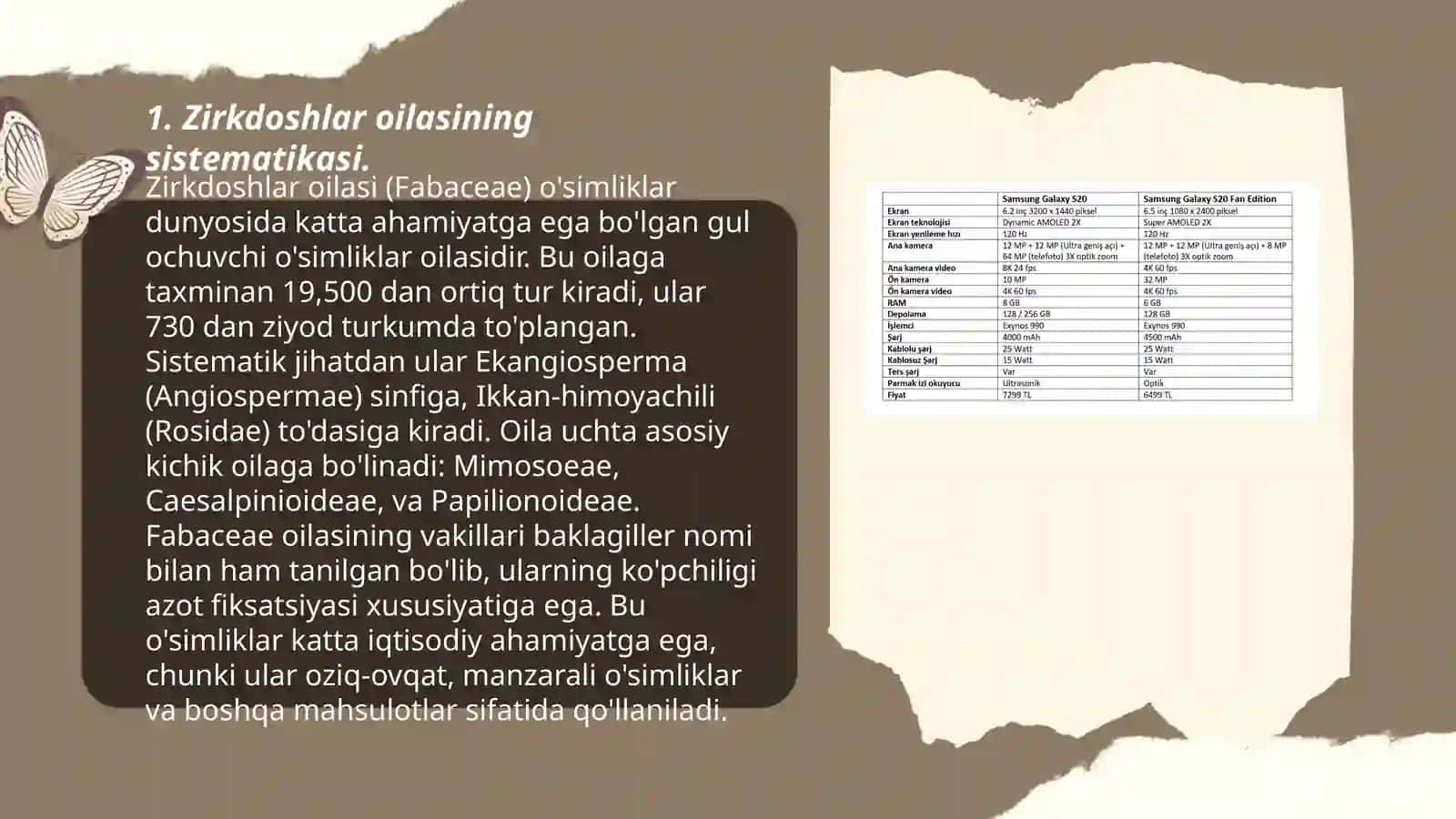 Zirkdoshlar oilasi sistematikasi,oziga xos belgilari, asosiy vakillari va ularning xalq xoʻjaligidagi ahamiyati 3