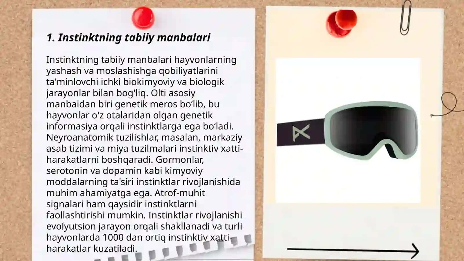 Instinkt haqida tushuncha bering 3