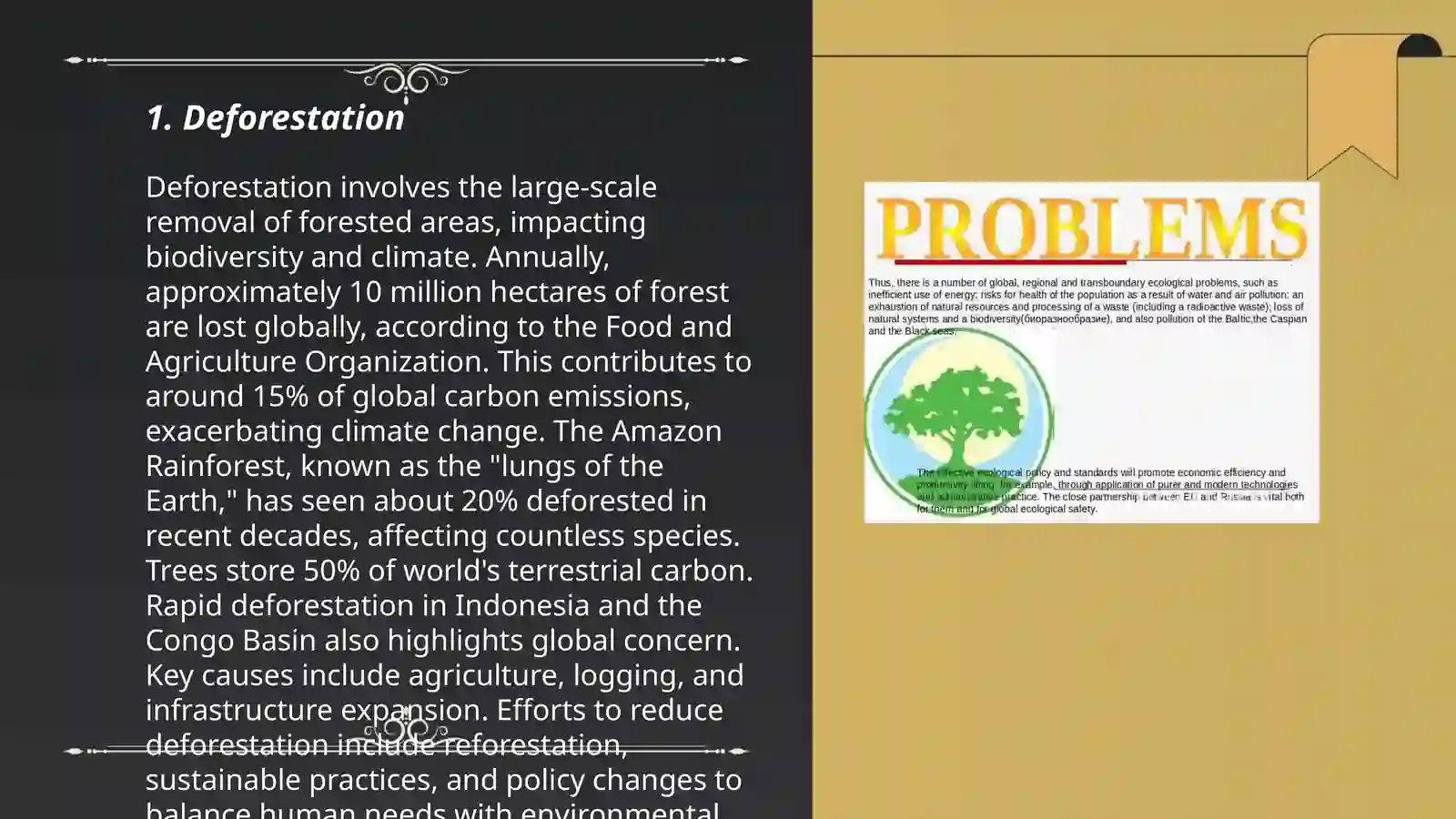 Ecologic problems 3