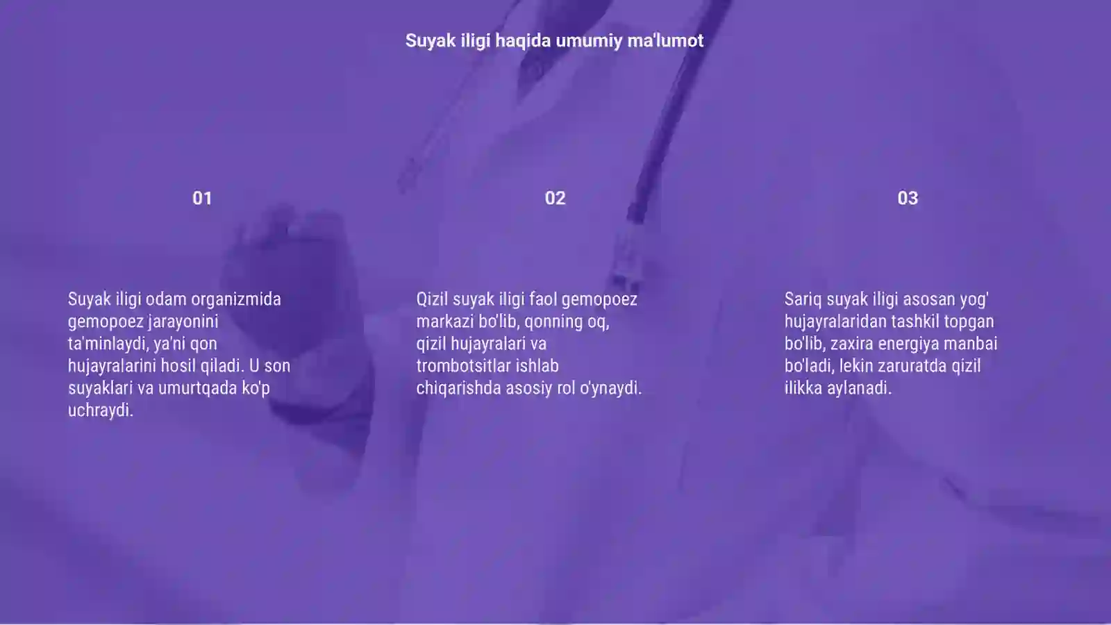 Suyak iligi 3