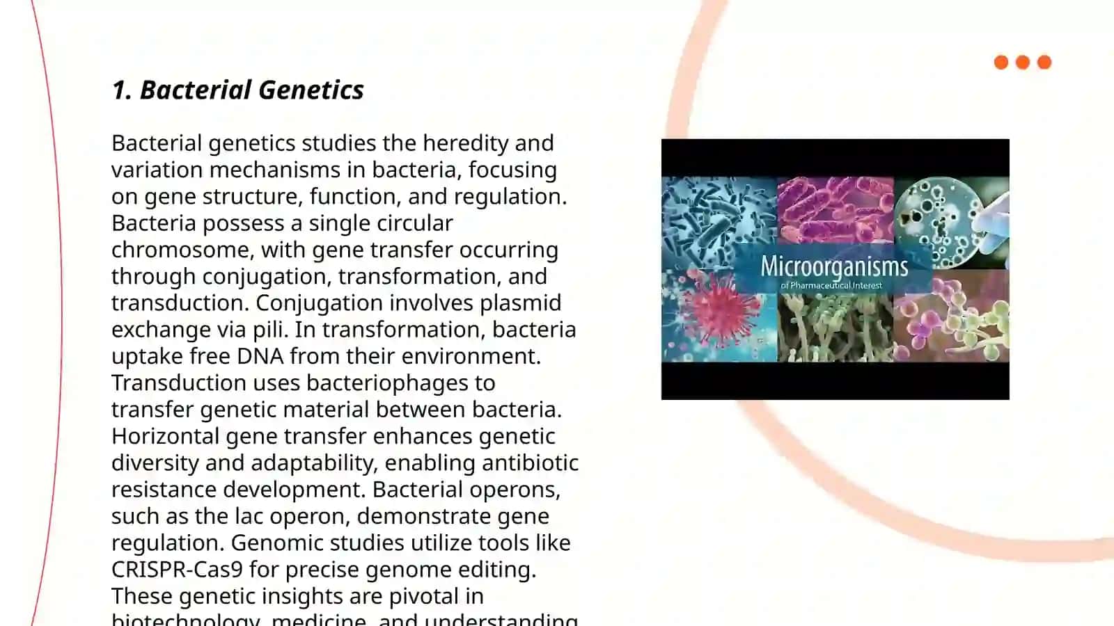 Bacterial Genetics 4