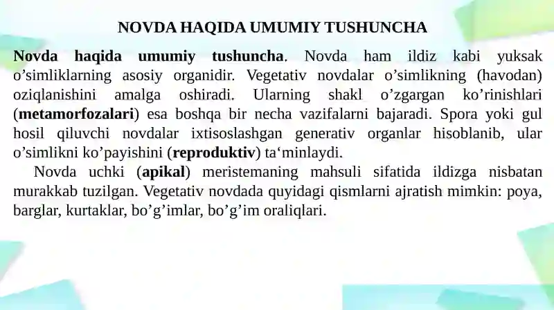 Novda 3