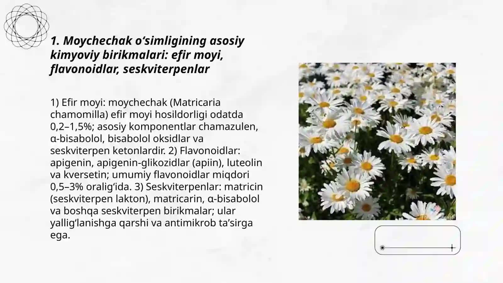 Moychechak oʻsimligining kimyoviy tarkibi, ishlatilishi, oʻsimlikni oʻrgangan olimlar 3