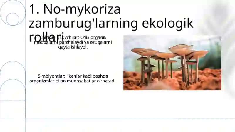 Takomillashmagan zamburugʻlarning umumiy tavsifi va asosiy vakillari 3