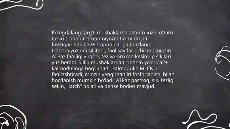 Silliq va ko'ngdalang targ'il mushaklar fiziologik farqlari 3