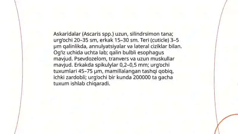 Askaridalar tuzilishi va hayot sikli ularning chorvachilik va tibbiyotdagi ahamiyatini tahlil qilish 3