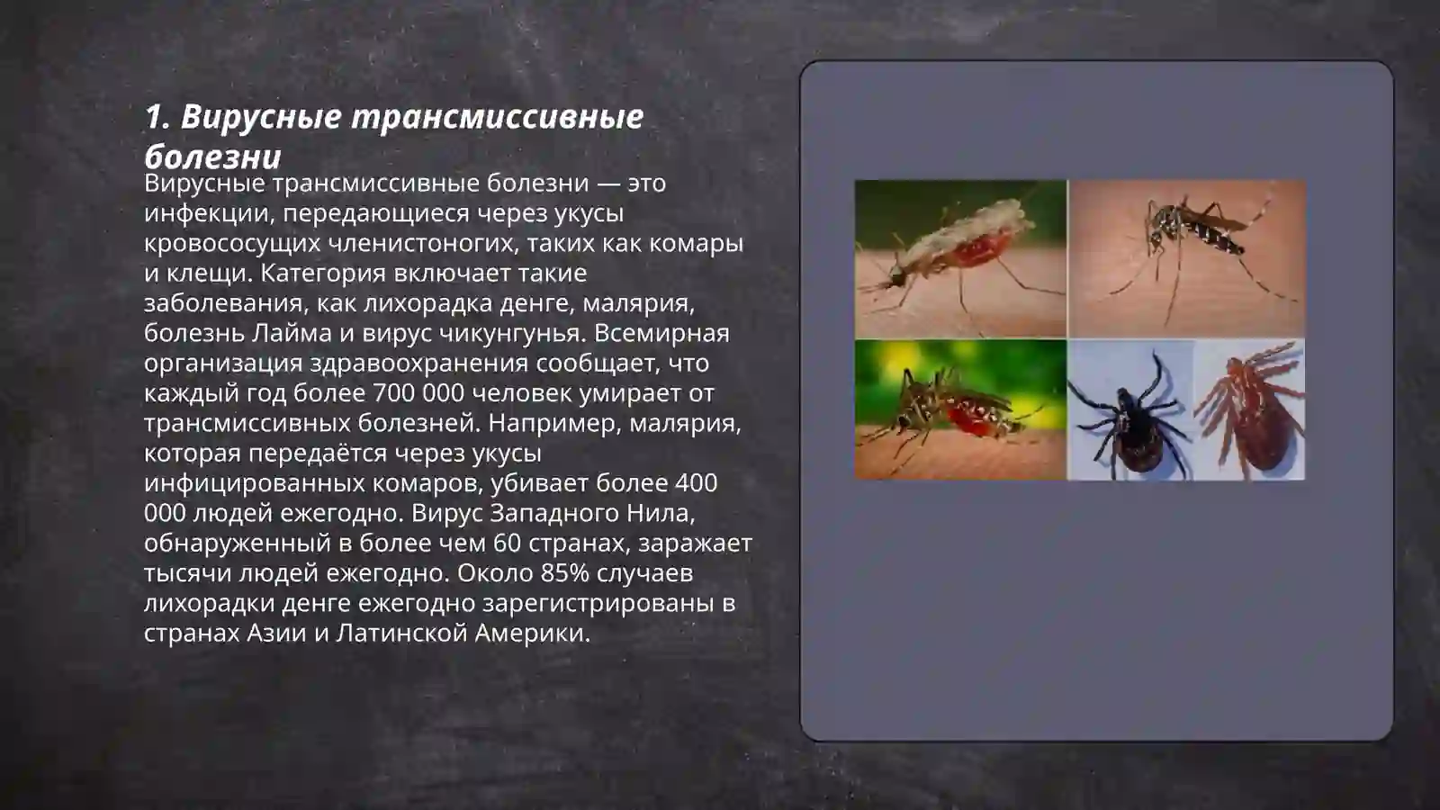 Трансмиссивные болезни 3