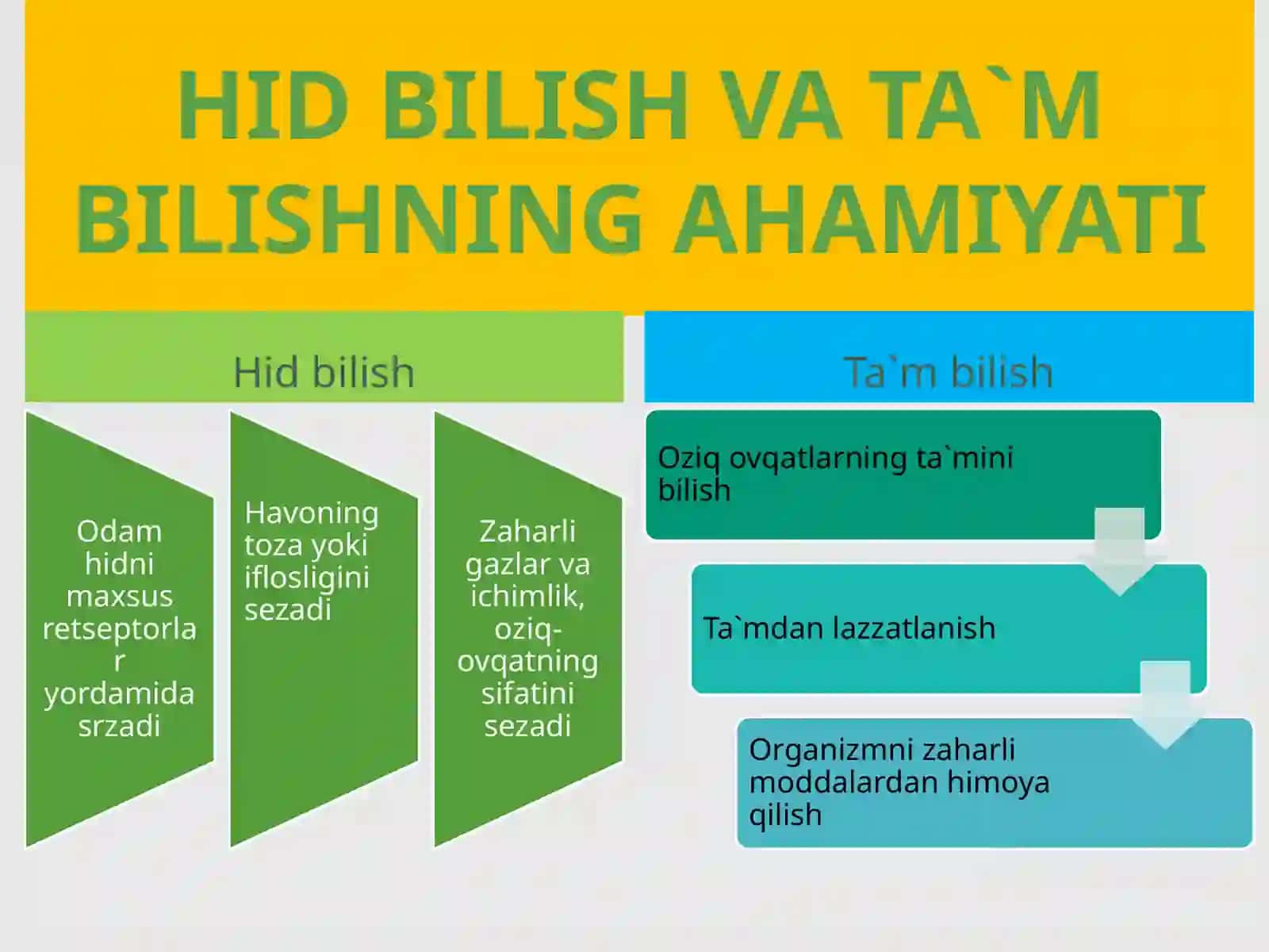 HID BILISH VA TA`M BILISH ORGANLARI 3
