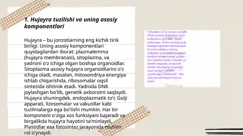 Preview 3