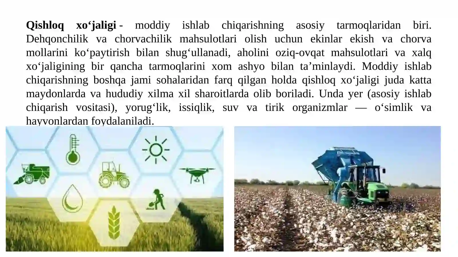 Qishloq xo’jaligining hududiy ixtisoslashuvi 3