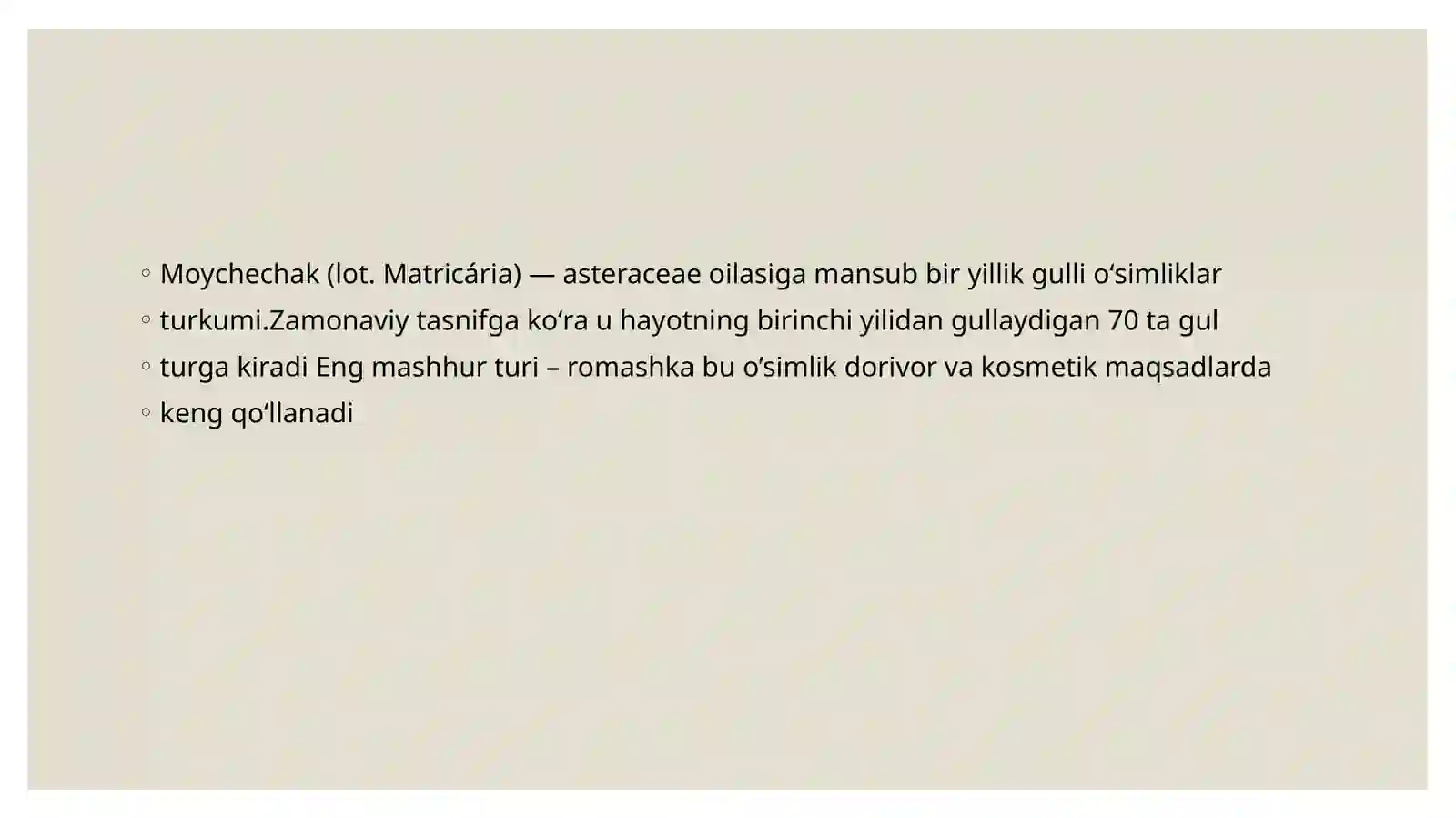 Moychechak - Romashka 3