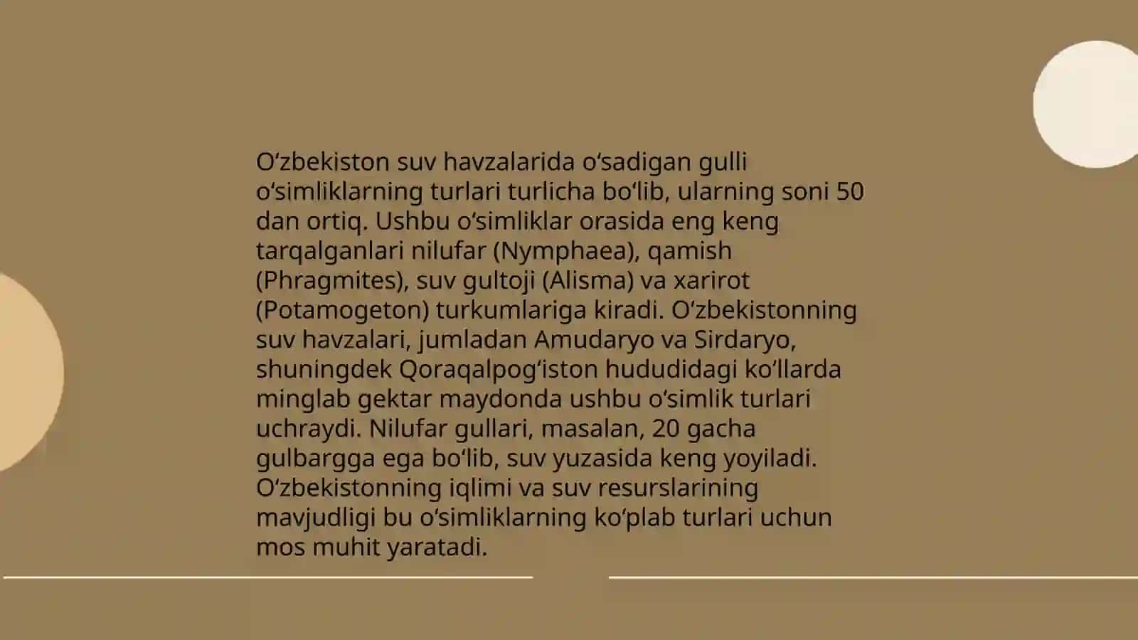 O‘zbekiston suv havzalarida o‘sadigan gulli o‘simliklar 3