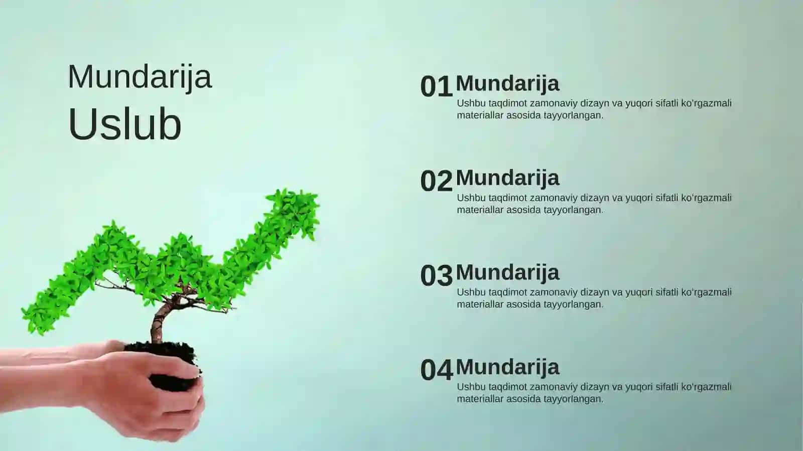 Moliyaviy O'sish Grafiklari va Daromad Dinamikasi Taqdimoti (48 Slayd) 3