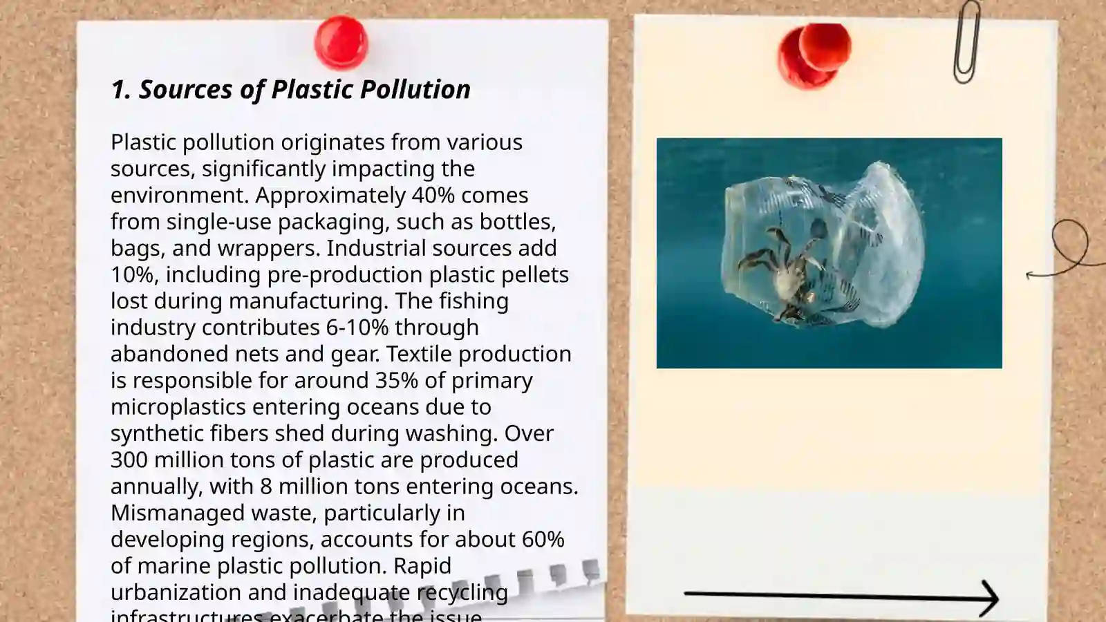 Plastic pollution Grade 10 3