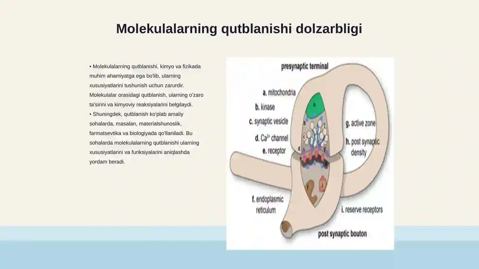 Molekulalarning qutblanishi 3