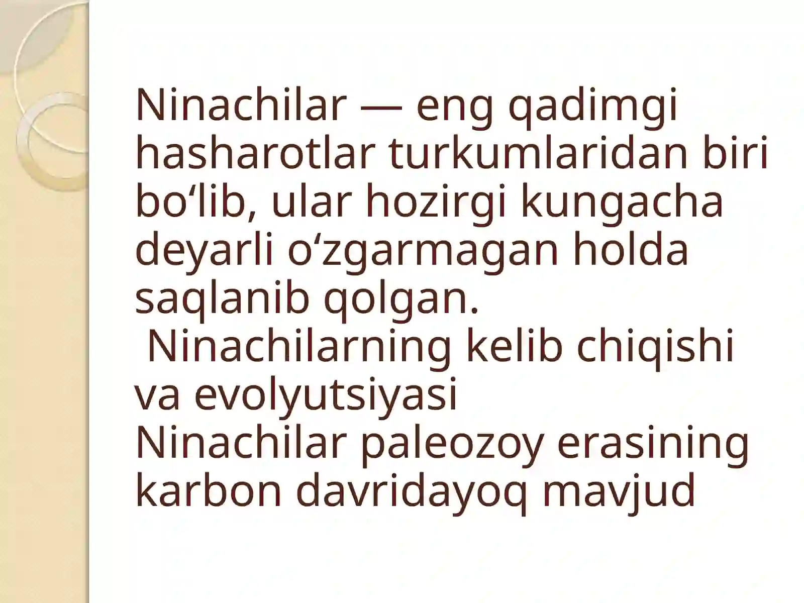 Ninachilar 3