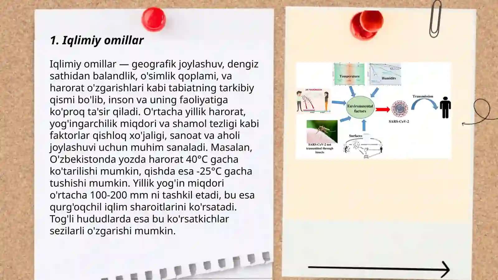 Ekologik omillarning tasnifi 3