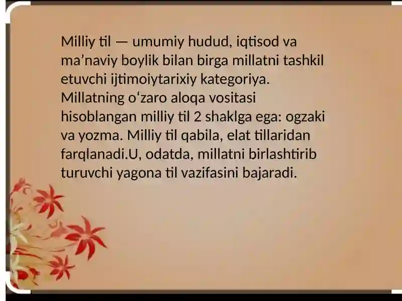Milliy va adabiy til 3