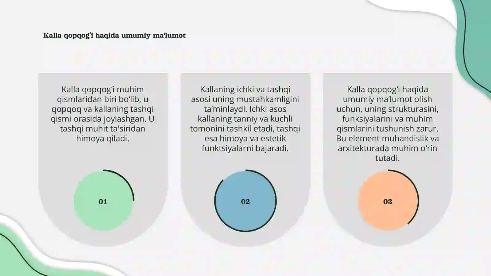 Kalla qopqogʻi, kallaning ichki va tashqi asosi 3