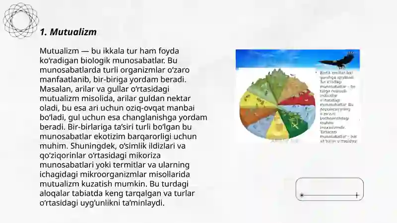 Tirik organizmlar o‘rtasidagi ekologik munosabatlar turlari va ularni o‘zgarib ketish muammolari 3