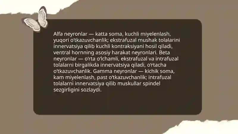Orqa miyaning harakatlantiruvchi neyronlar turlari va ularning morfofunksional xususiyatlari 3
