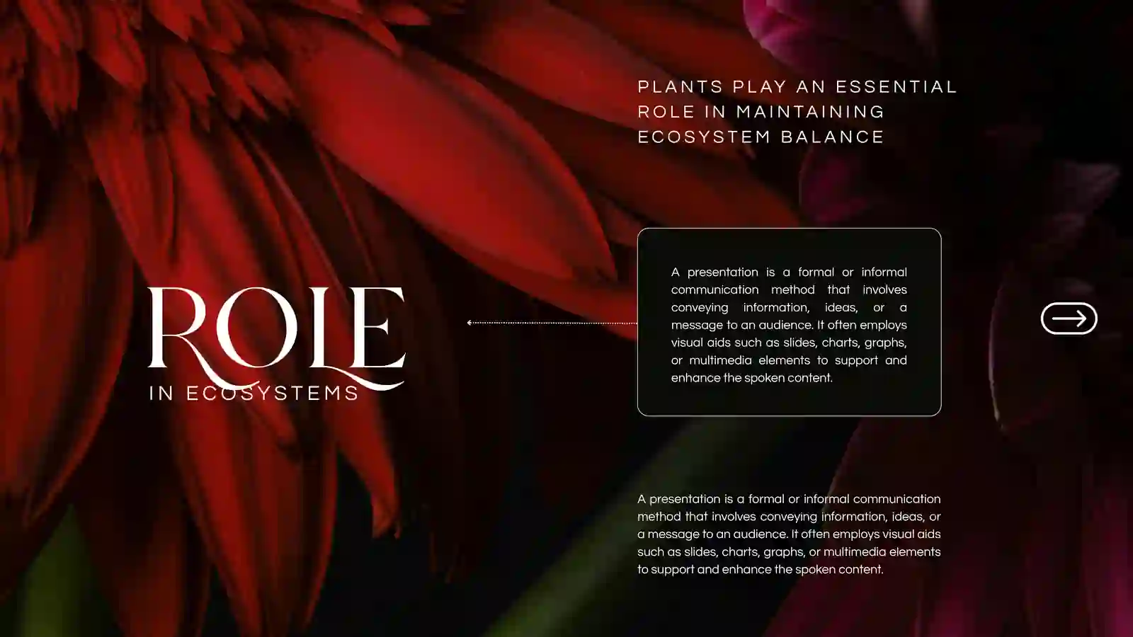 FloRa 3