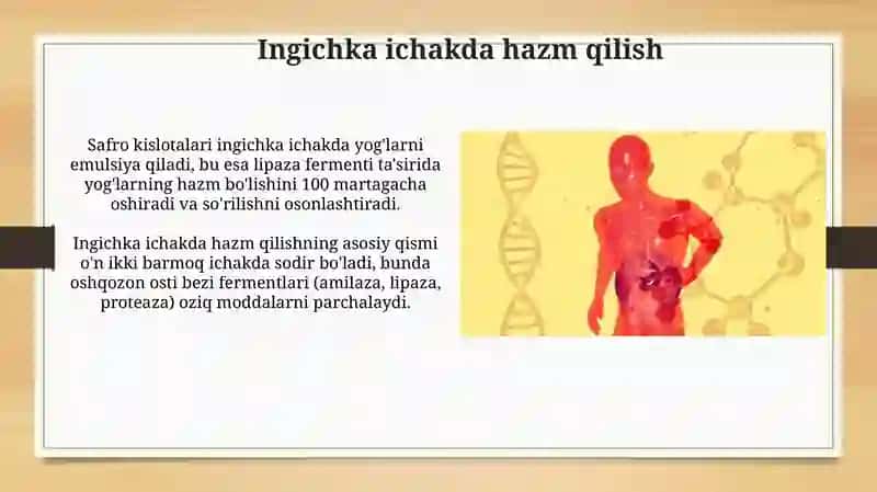 Hazm qilish fizologiyasi 3