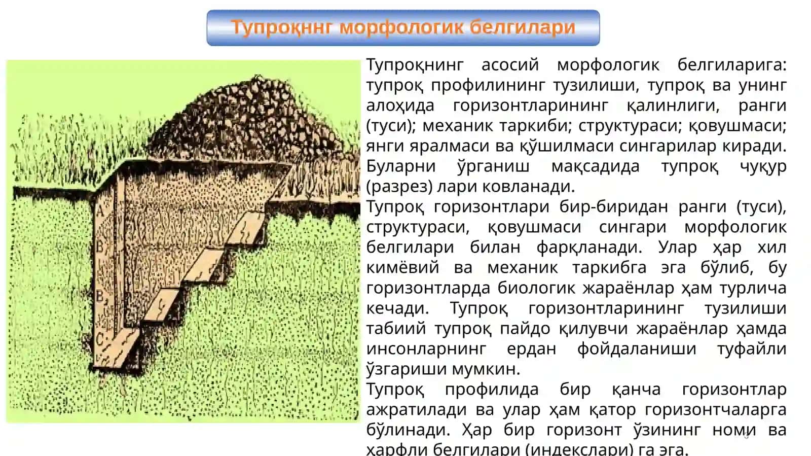 Тупроқ морфологияси ва таркиби 3