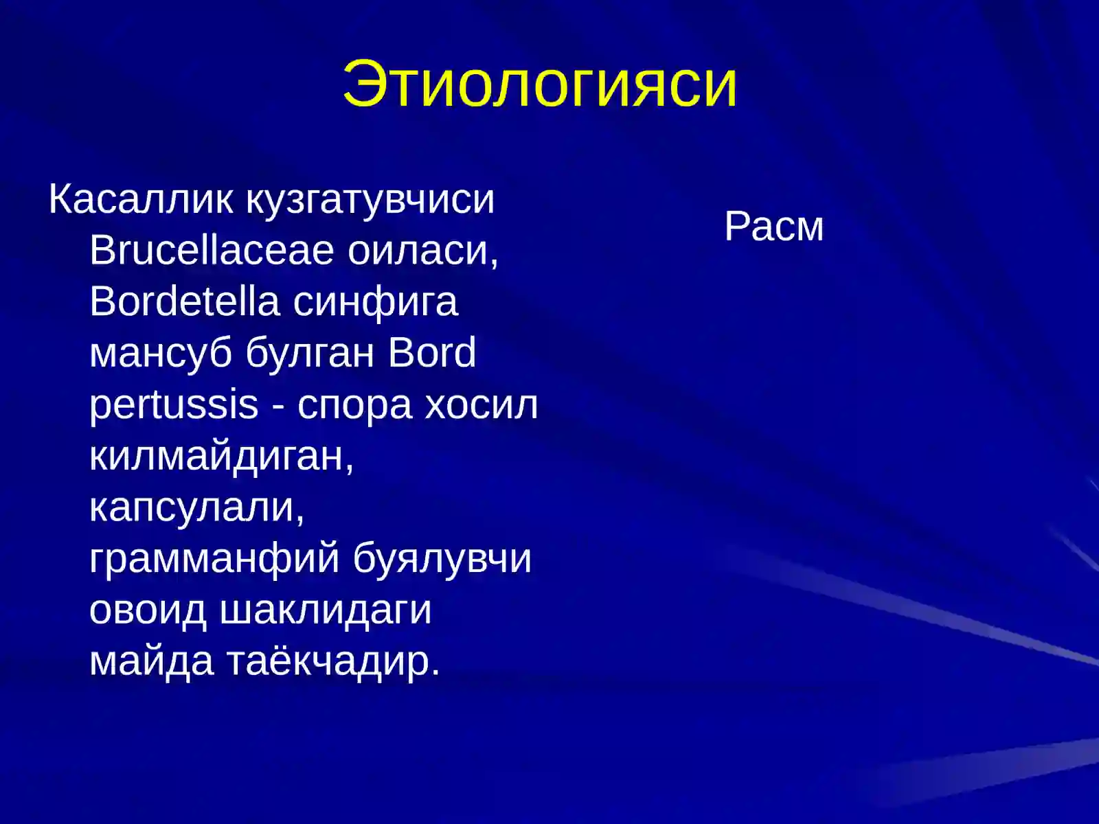 КЎКЙЎТАЛ 3