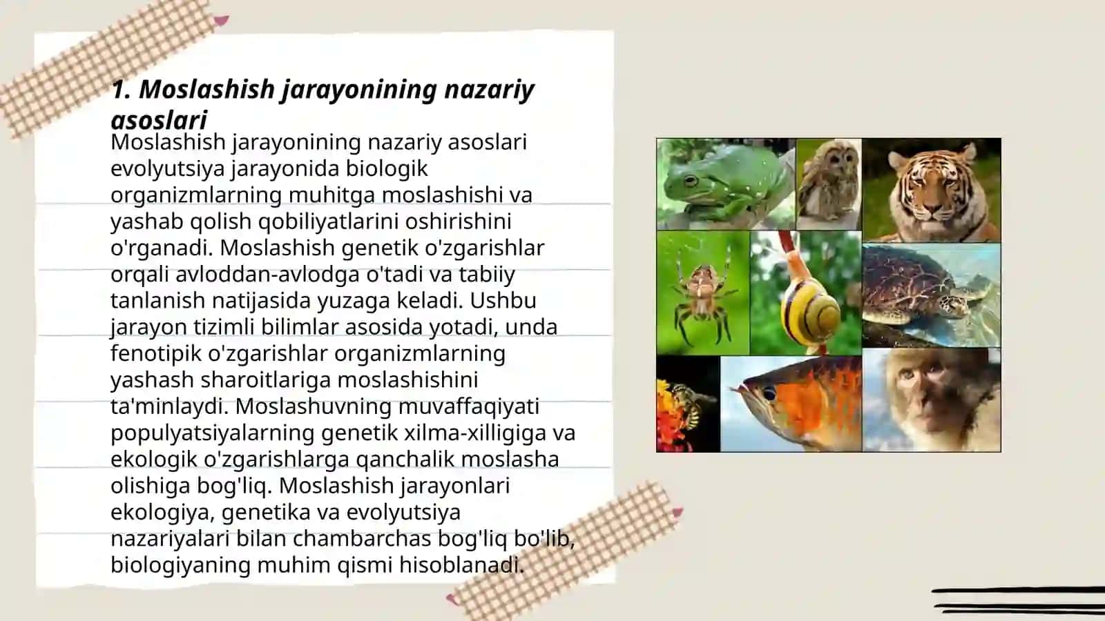 Moslashish (adaptatsiya) jarayoni hamda sportchi organizmnining sport mashgulotlariga moslashishi 3