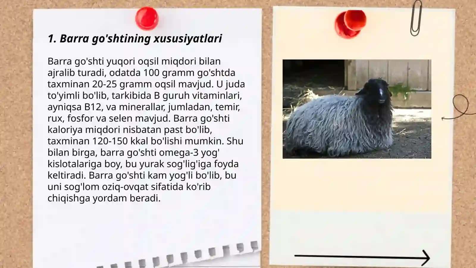 Qorako’l qo’zilarida barra tiplari 3