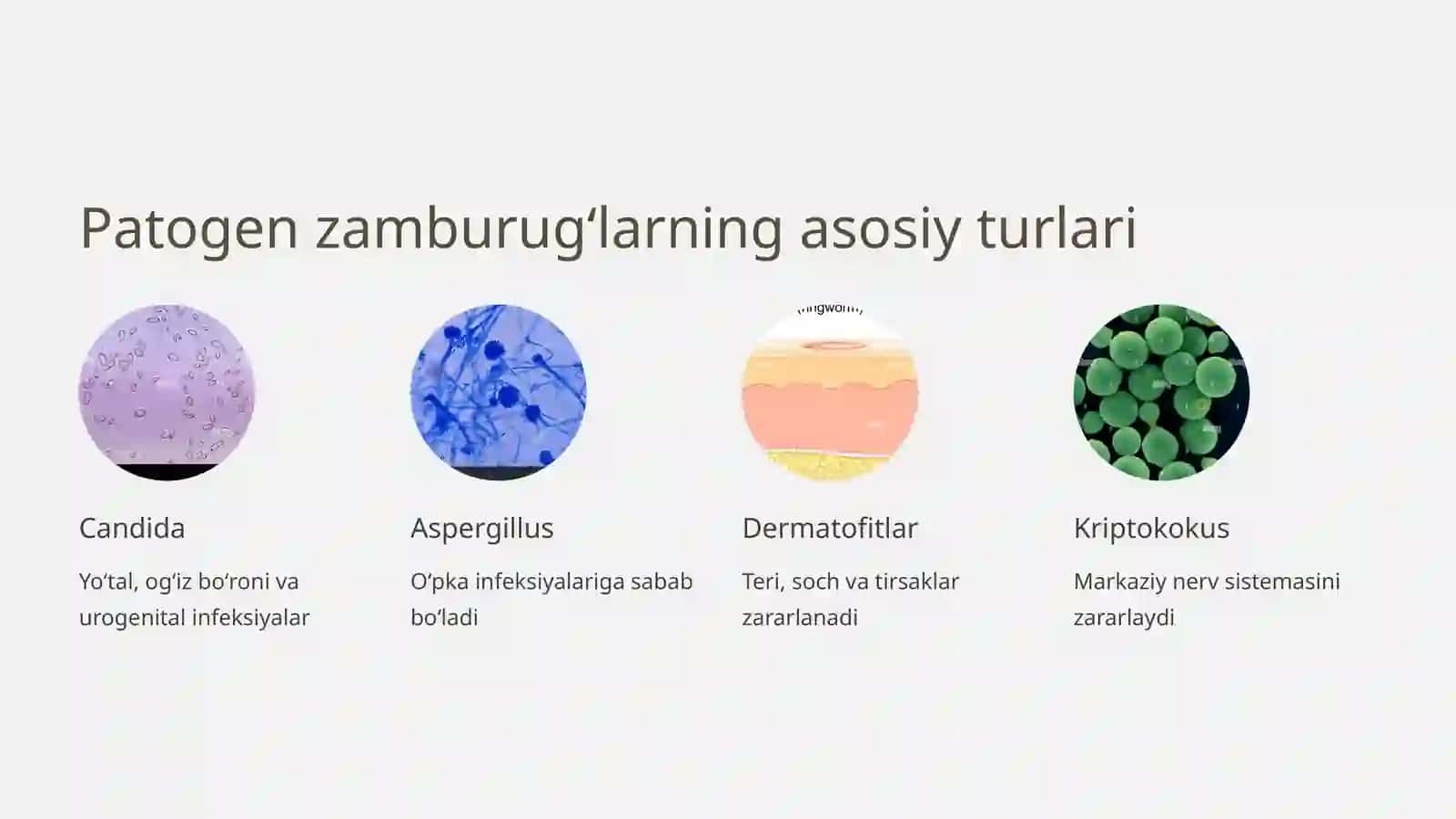 Patogen zamburugʻlar chaqiruvchi kasalliklar va ularni laboratoriya diagnostikasi 3