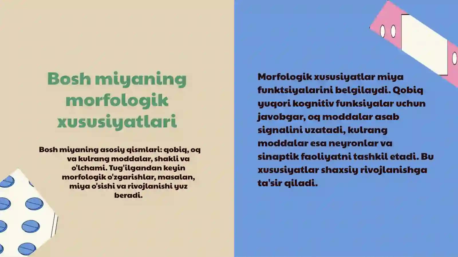 Bosh miyaning morfologik va funksional xususiyatlari 3