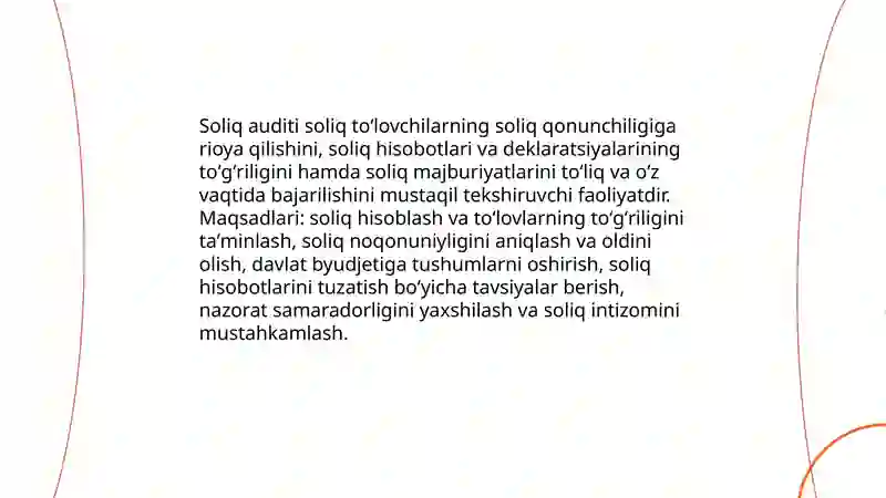 Soliq auditi 3