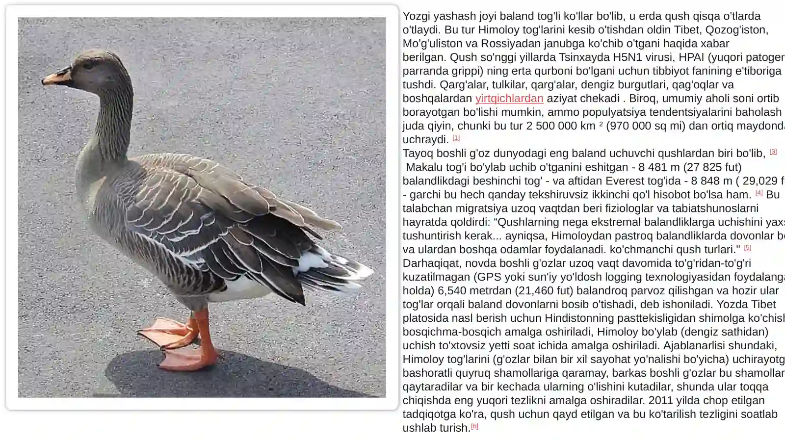 Kulrangg'oz jinsi 3