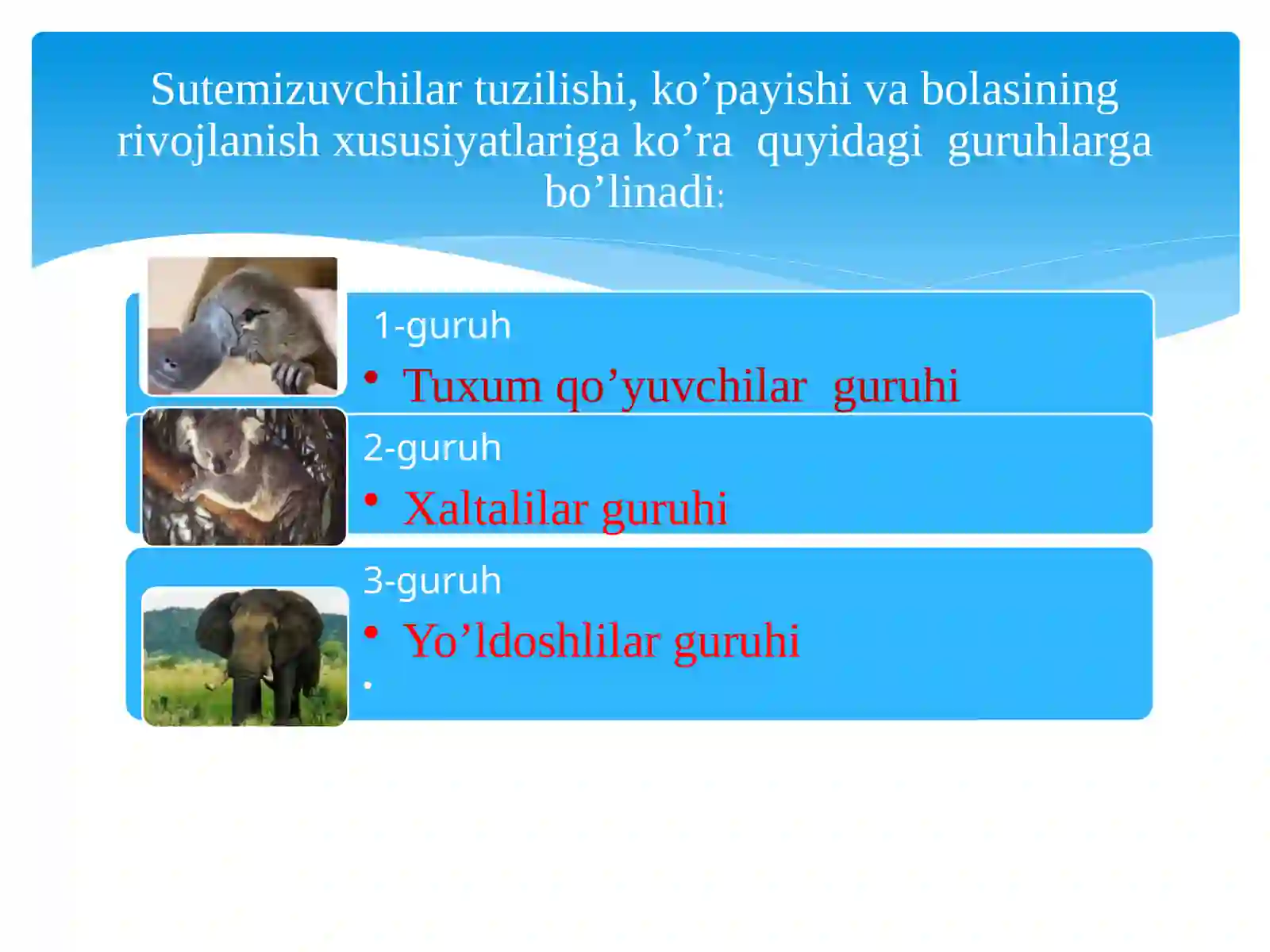 Sut emizuvchilarning xilma-xilligi: tuxumqo’yuvchilar xaltalilar 3