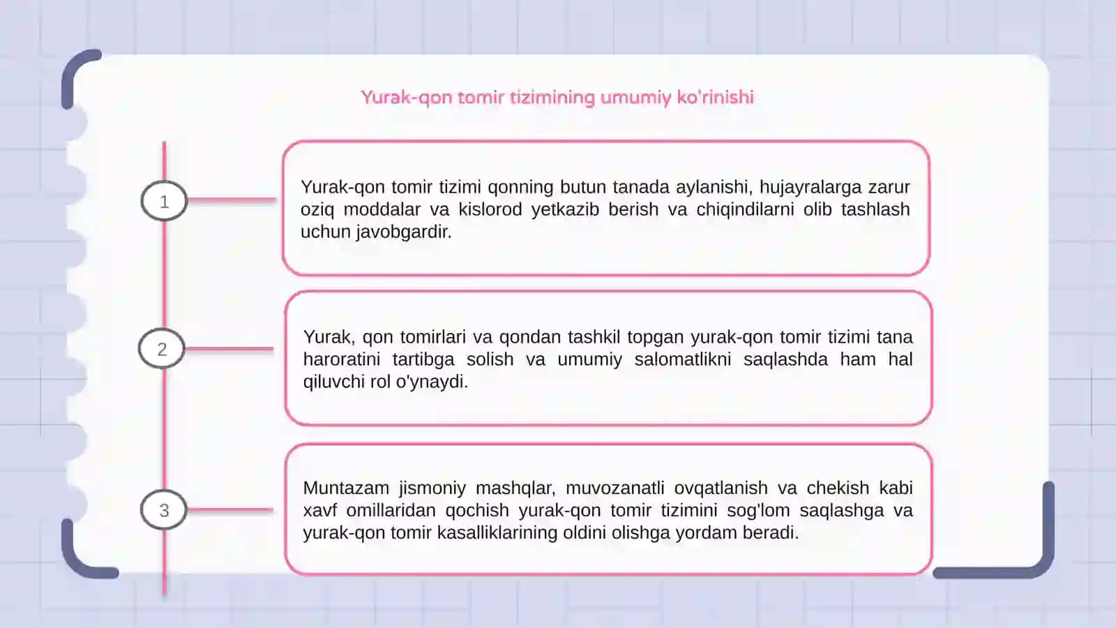Yurak qon tomir tizimi 3