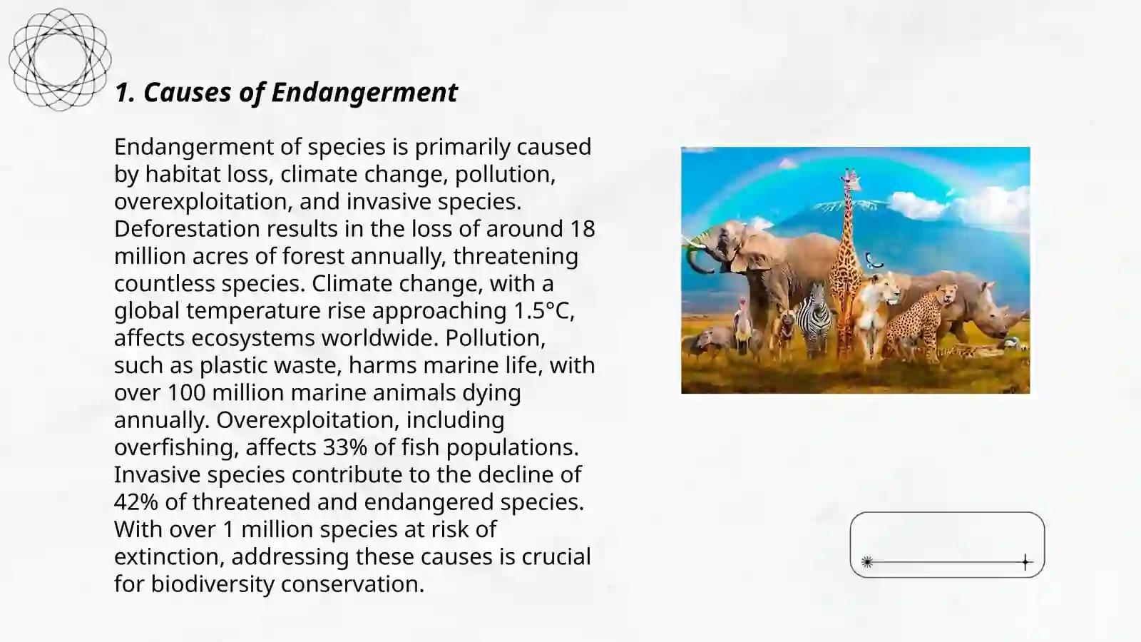 Endangered animals 3
