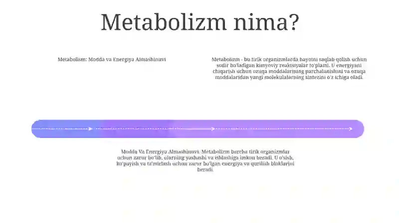 Modda Va Energiya Almashinuvi 3