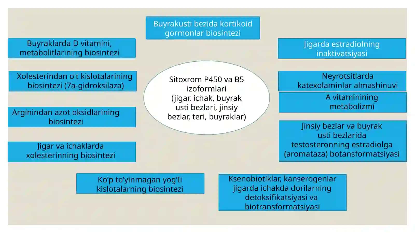 SitoxromP450 indutorlar va ingibitorlar 3