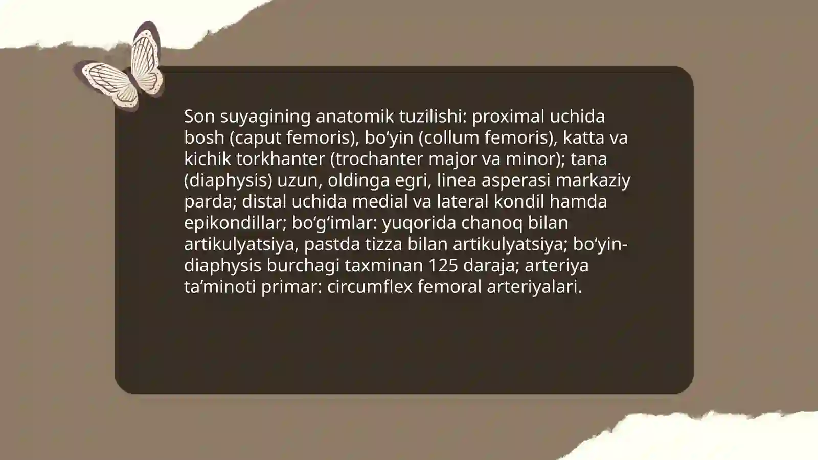Son suyagi 3