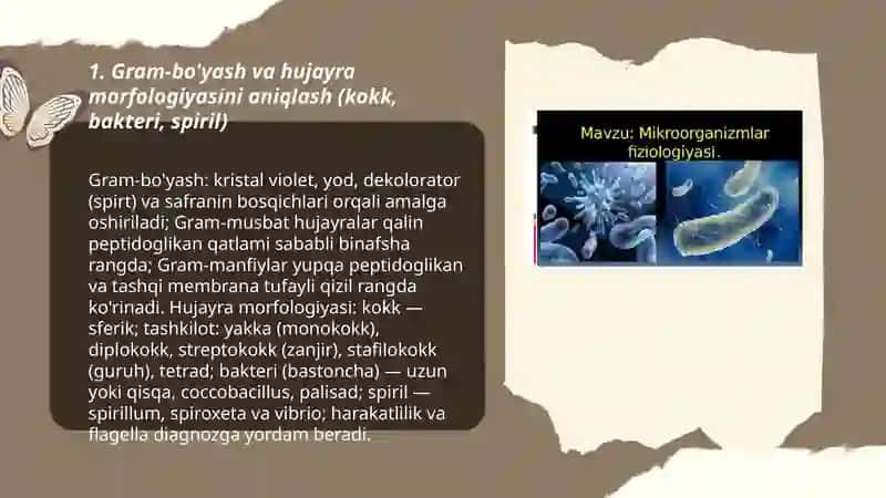 Mikroorganizmlarni turlarini aniqlashda morfologik, kultural va fiziologik xususiyatlardan foydalanish 3