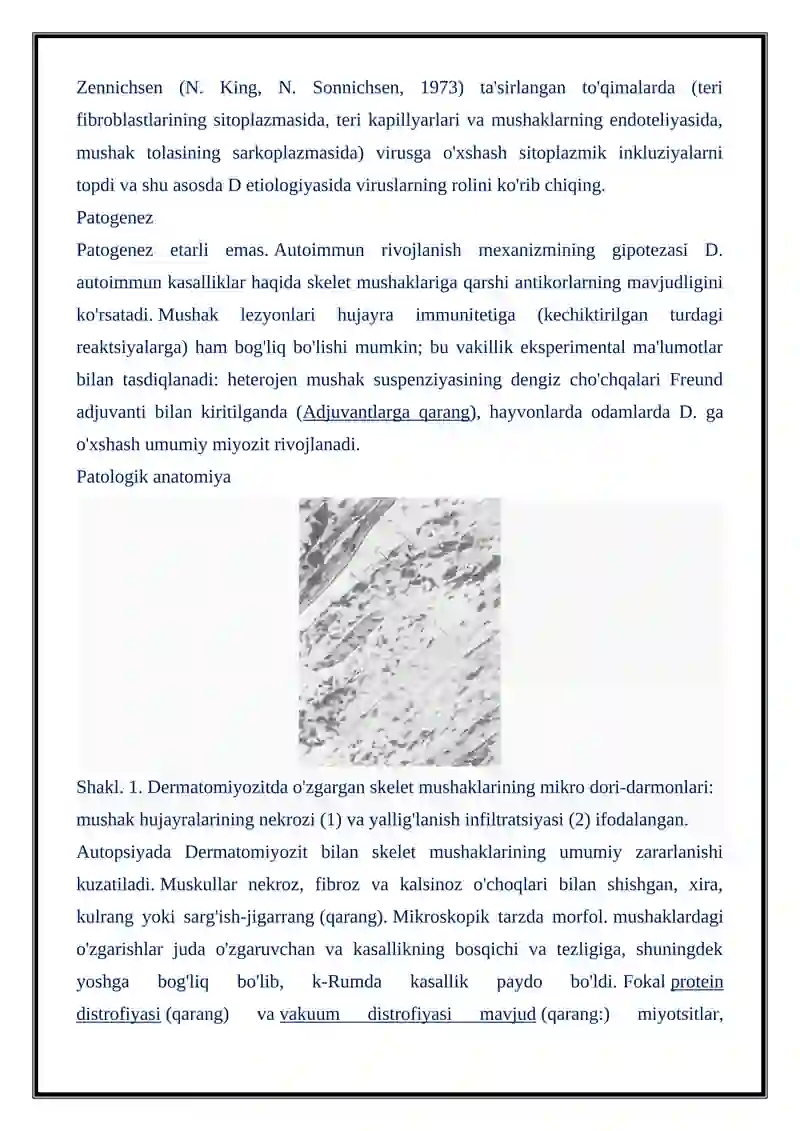 DERMATOMIOZITLAR 3