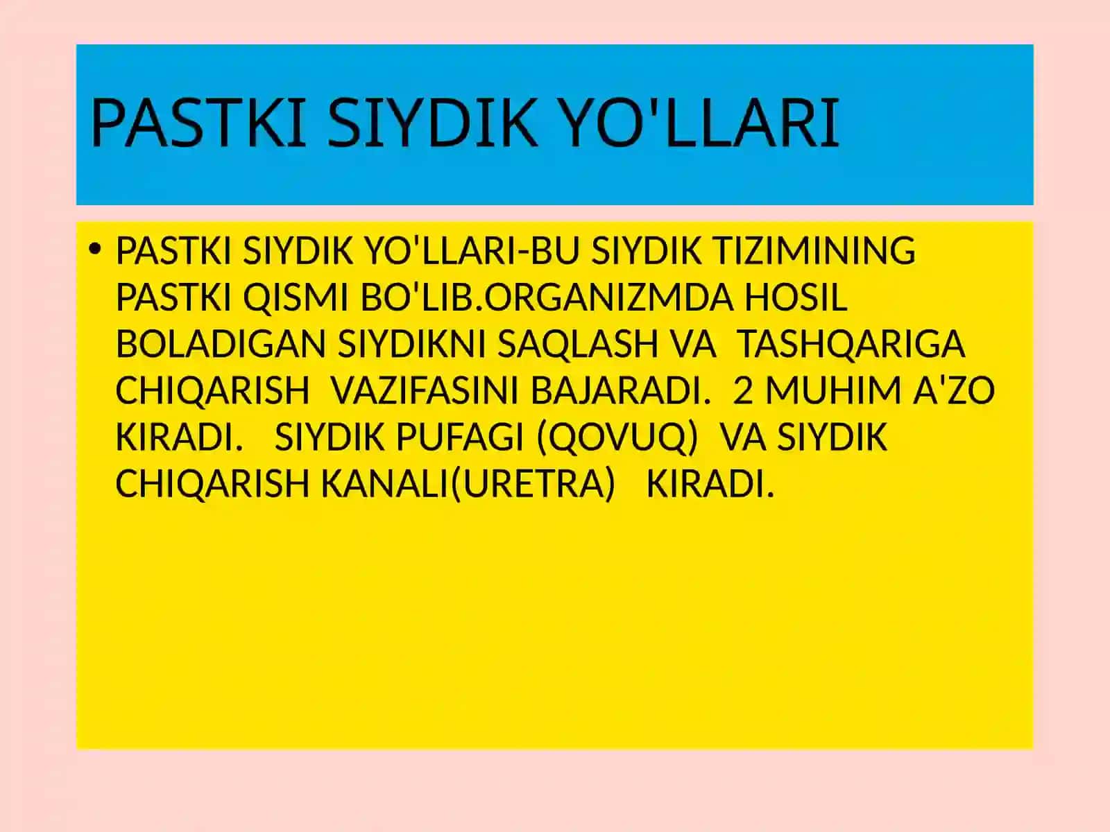 ANATOMIYAFIZIOLOGIYAVAPATOLOGIYA MUSTAQILISH VA FUNKSIONAL-DIAGNOSTIKA 3